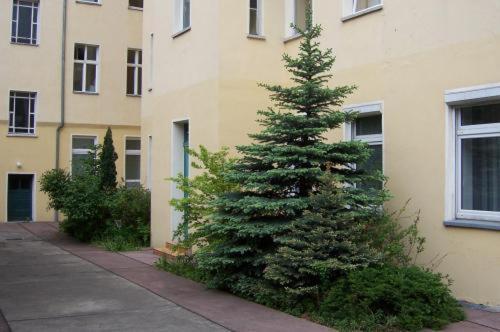 Hotel Pension Streuhof Berlin Exterior foto